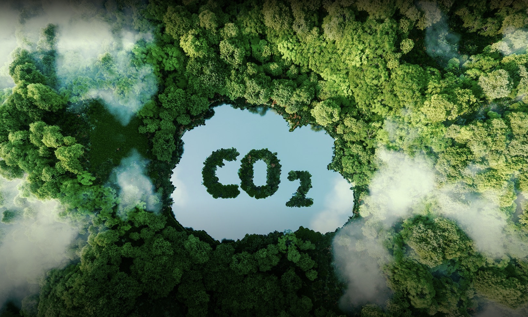 碳中和是什麼？碳中和計畫